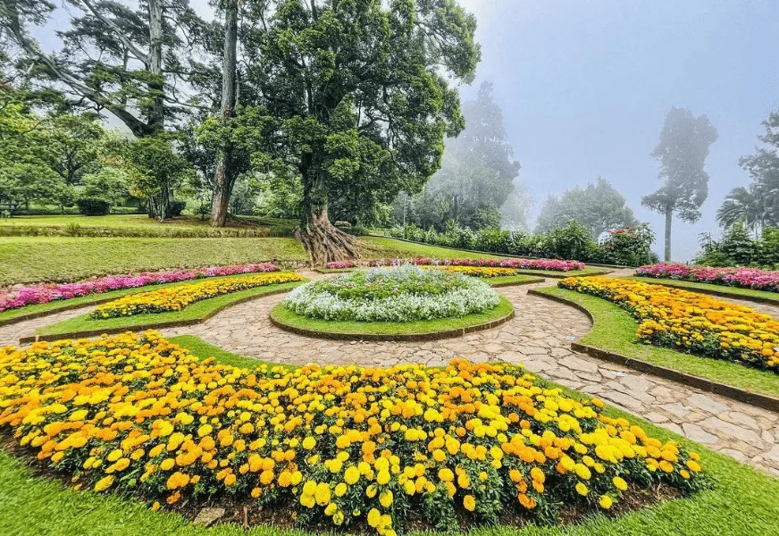allure of hakgala botanical garden